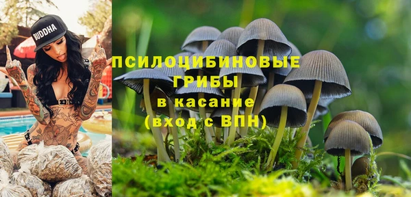 первитин Красноперекопск